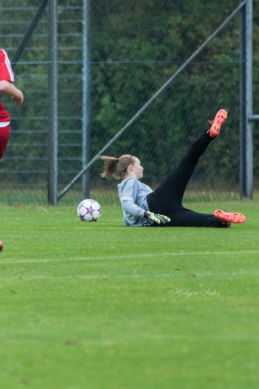 Bild 185 - B-Juniorinnen SV Henstedt Ulzburg - SV Wahlstedt : Ergebnis: 11:0